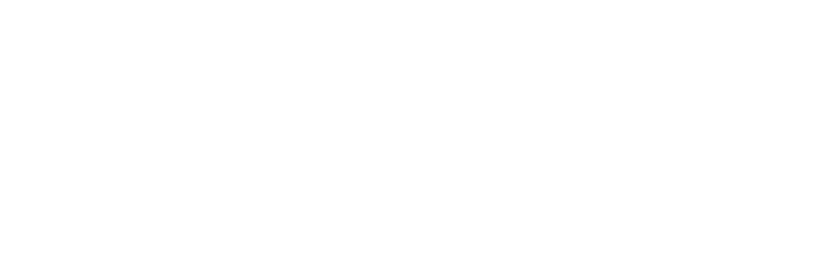 RevitaFio